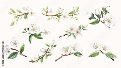 Set of Watercolor white cherry blossoms blooming elements. White cherry green leaves branch, and stem isolated on dark background. Suitable for decorative invitations, posters, or cards