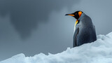 a penguin standing on top of a pile of snow next to a black and white photo of it's head.
