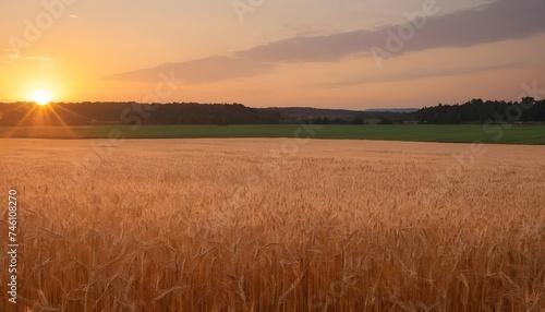 Sunset on a wheat field  cloudy sky