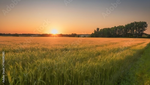 Sunset on a wheat field