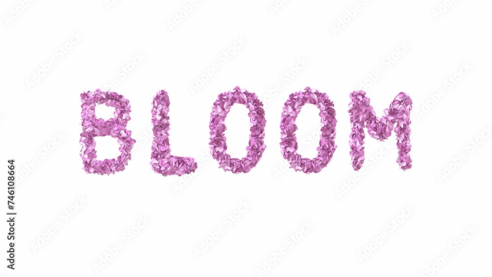 Animated Sakura Petals text letters forming the word bloom Animated Sakura Petals text letters forming the word bloom