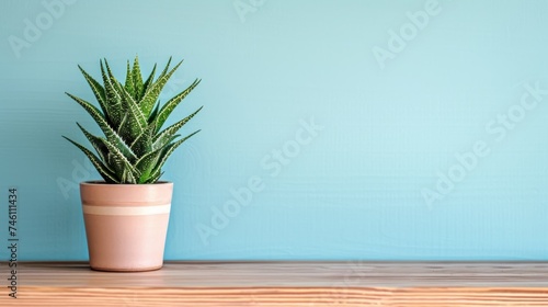 a potted plant sitting on top of a wooden table in front of a blue wall on a wooden table.