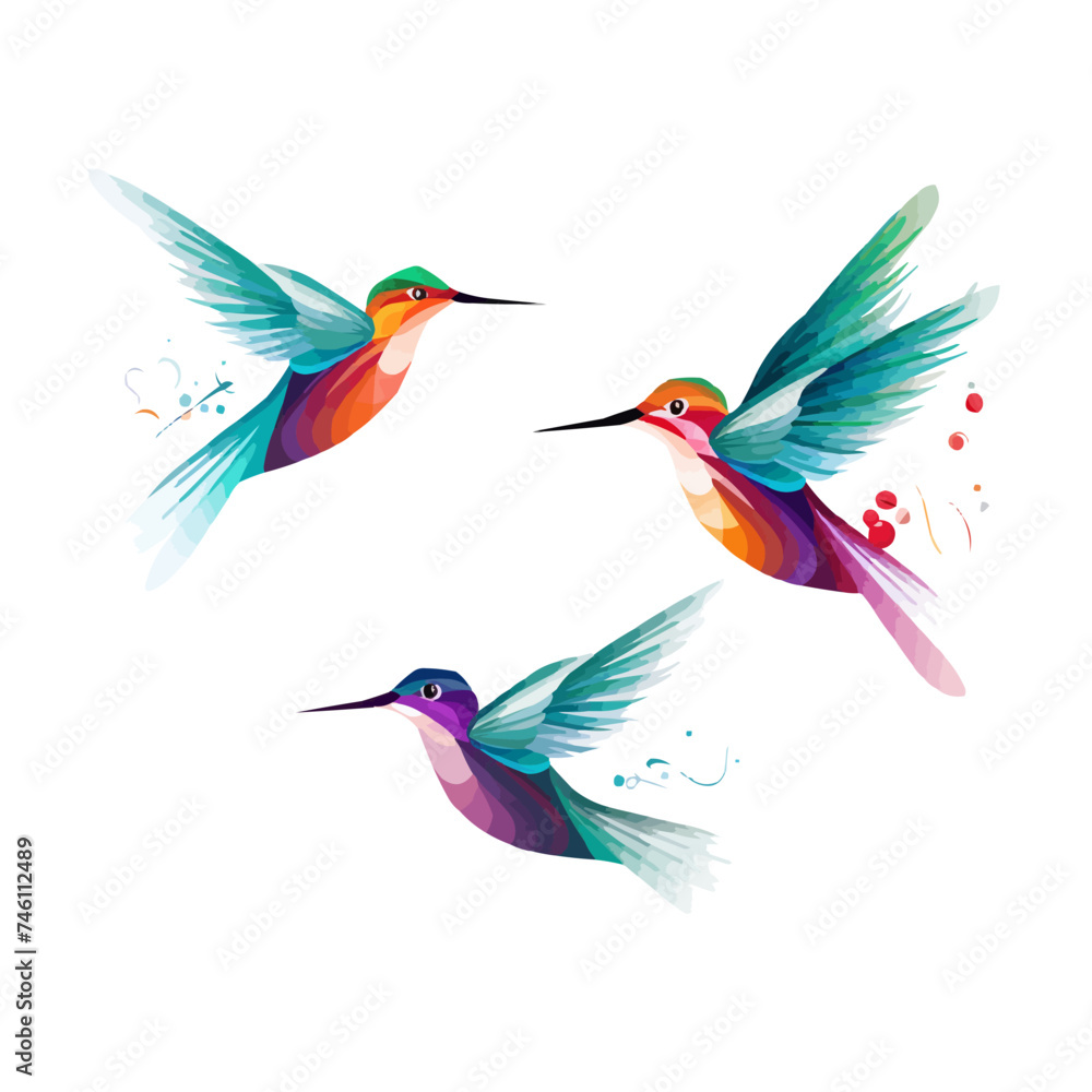 Obraz premium Hummingbird | Minimalist and Simple set of 3 Line White background - Vector illustration