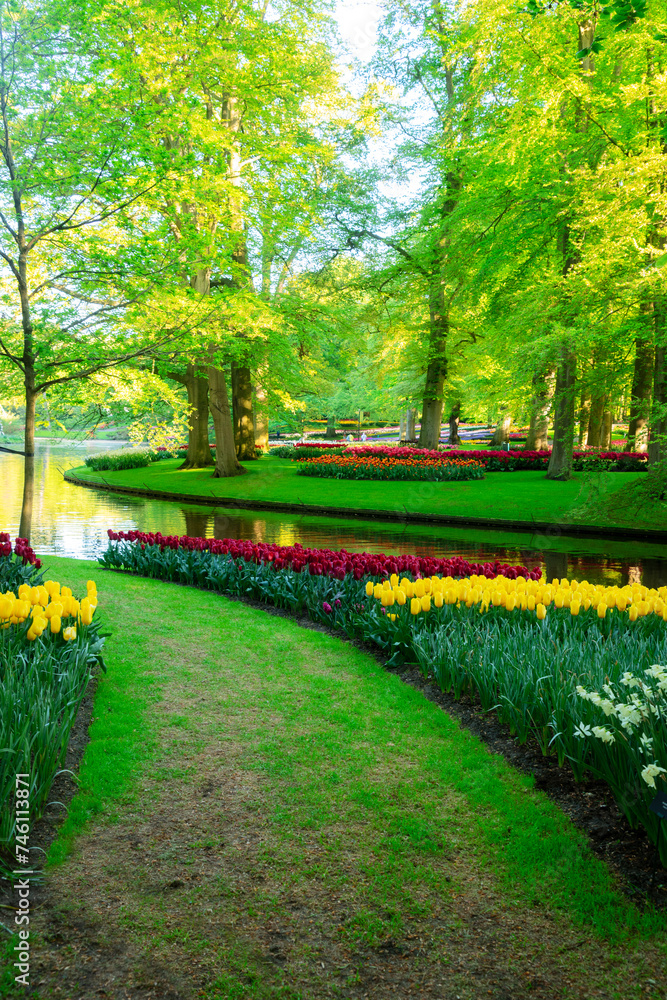 Colourful Tulips Flowerbeds and green grass Path in an Spring Formal Garden Colourful Tulips Flowerbeds and green grass Path in an Spring Formal Garden
