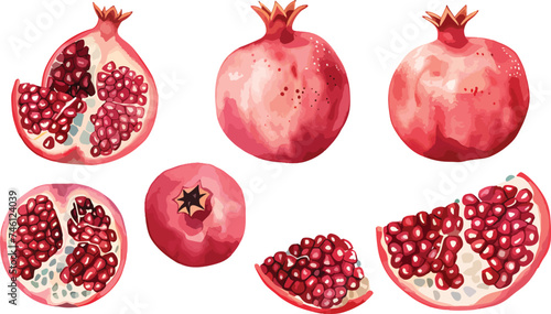 Vector watercolor pomegranate fruit set hand drawn vector illustration on white background. Pomegranate fruit whole and half and green leaves
