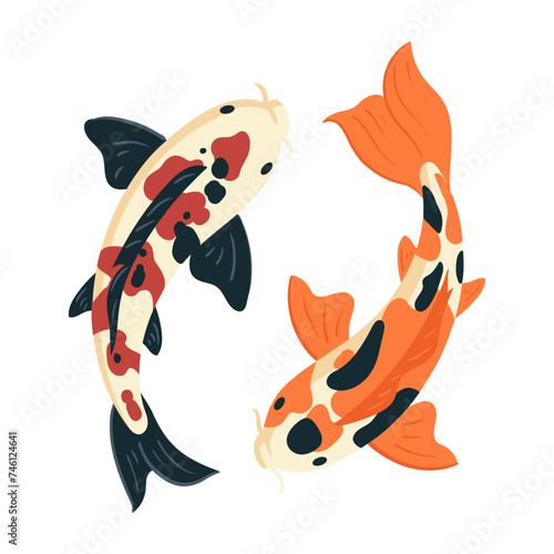 Koi carp fish. Japanese koi carp fish, cute oriental fish koi, swimming carps flat vector symbols illustration. Asian colorful koi fish