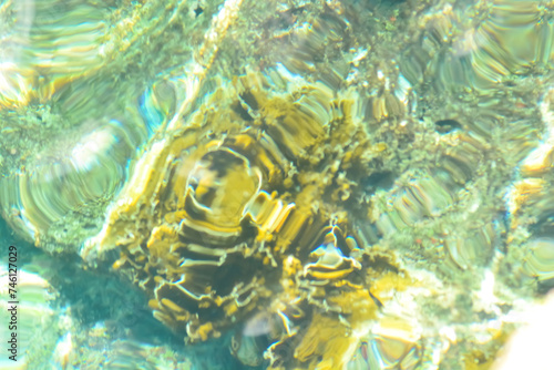 A photo of Caribbean coral reefs seen through crystal clear azure blue water.  photo