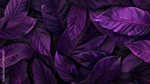 Closeup purple leaves texture background
