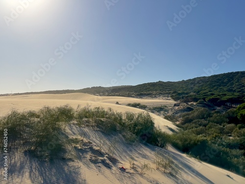 large sand dune of Valdevaqueros meets pine forest  Tarifa  Costa de la Luz  Andalusia  province of C  diz  Spain  Travel  Tourism