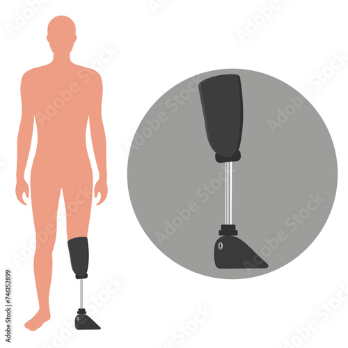 Artificial limb leg zoom