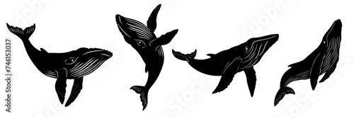 whale silhouette set
