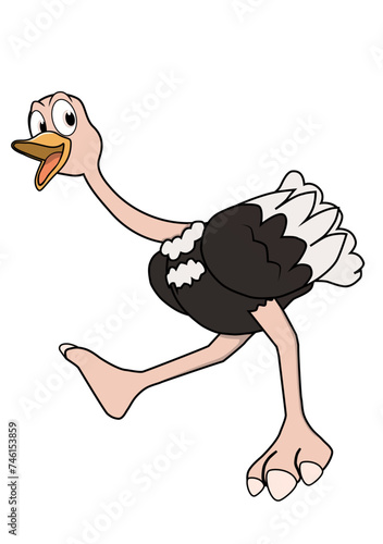 ostrich portrait of wild australian animal, isolated on white background vector illustration