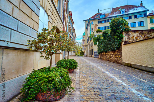 Plants on Obere Zaune street, Zurich, Switzerland photo