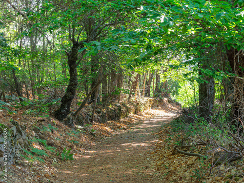 Caminando por los casta  os