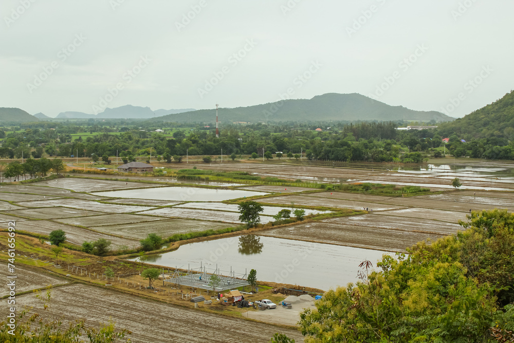 Rice field with the mountain background in Kanchanaburi Thailand