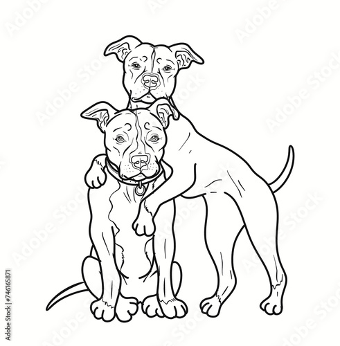 Cute hand drawn line drawing illustration of two playful pitbull dogs playing. high quality outline only drawing with transparent background, perfect for coloring book.