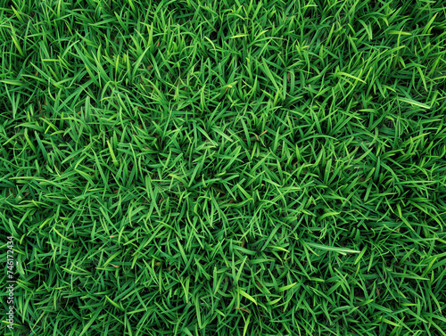 Vibrant green grass closeup gives a fresh, well-maintained lawn impression. Textured top view enhances its visual appeal.