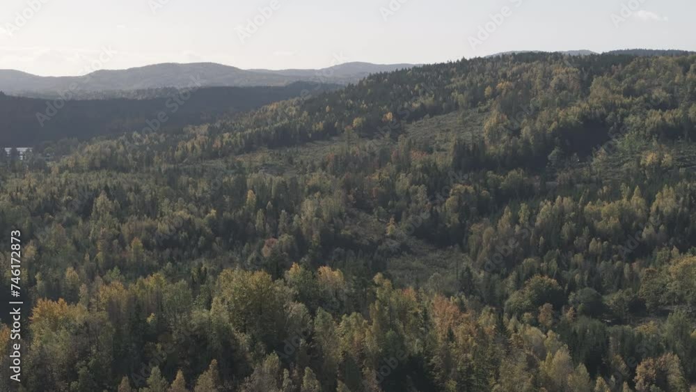 Autumn forest on a sunny day captured with drone. Files in original quality, 4K, DLOG, ProResHQ Autumn forest on a sunny day captured with drone. Files in original quality, 4K, DLOG, ProResHQ
