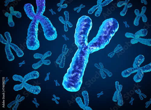 Y Chromosome Disappearing and Y-Chromosomes dying out as a concept for a human biology x structure containing dna genetic information as a medical symbol for gene therapy or microbiology genetics rese © freshidea