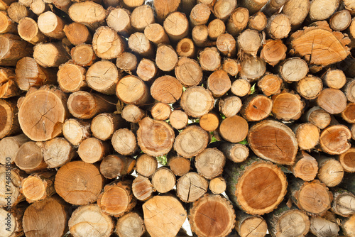 Pile of wood logs storage for industry