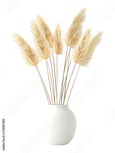 pampas grass in white vas, isolated on white PNG