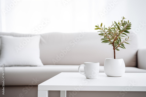 White modern living room © O-Foto