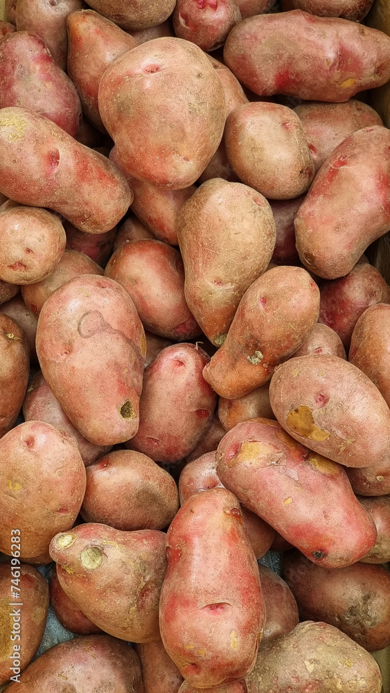 group of sweet potatoes ready to sell on the market group of sweet potatoes ready to sell on the market