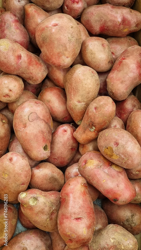 group of sweet potatoes ready to sell on the market