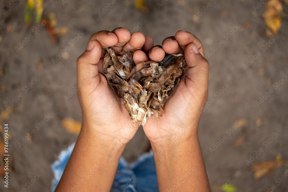 Mãos de crianças plantando