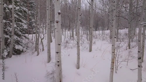 Snowing snowy winter Aspen forest Snowmass Pitkin county wilderness aerial drone Rocky Mountains Colorado Basalt Carbondale Sopris Maroon Bells Ashcroft Independence Pass backward slowly motion photo