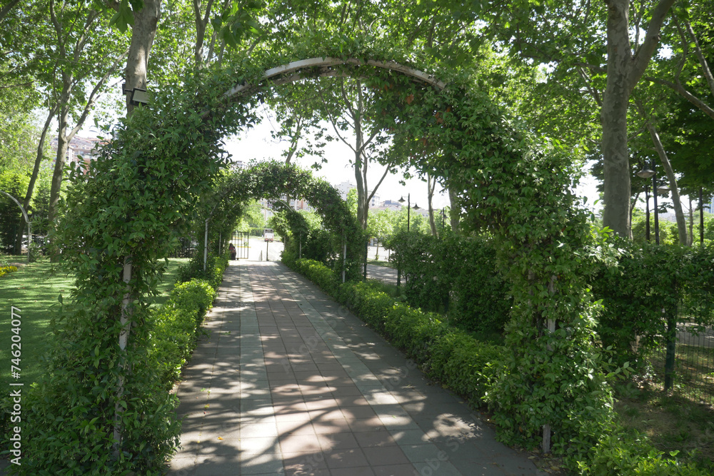 A road lined with trees and shrubs winding through a park with natural landscape