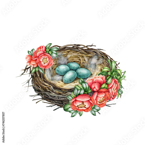 Bird nest with eggs with spring flowers decor. Watercolor painted illustration. Hand drawn cozy springtime decoration element. Bird nest with egg laying and blooming quince flowers. White background