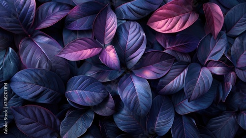 A collection of purple leaves intertwined with vibrant green foliage in a close-up view.