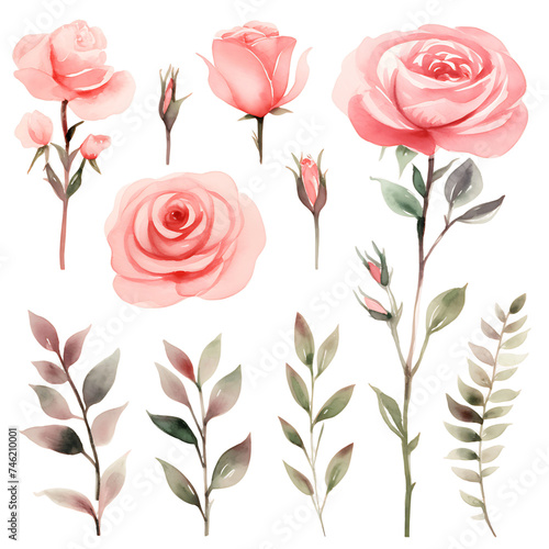 Botanical EleganceIsolated Watercolor Border with Pink Roses