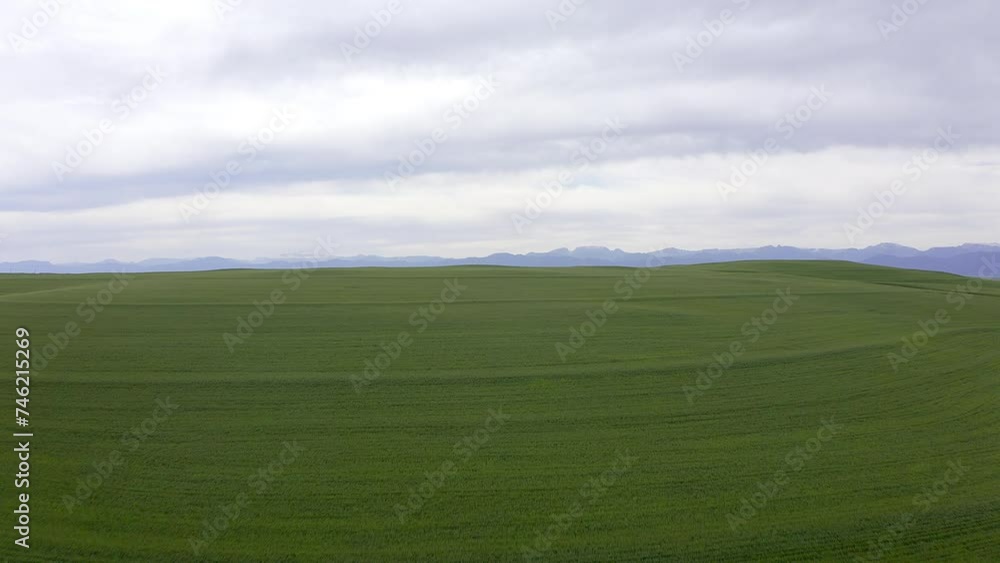 Farm, field and drone over countryside with landscape, green and sustainable with mockup space. Environment, location and agriculture destination with agro land, Earth and nature in rural area Farm, field and drone over countryside with landscape, green and sustainable with mockup space. Environment, location and agriculture destination with agro land, Earth and nature in rural area