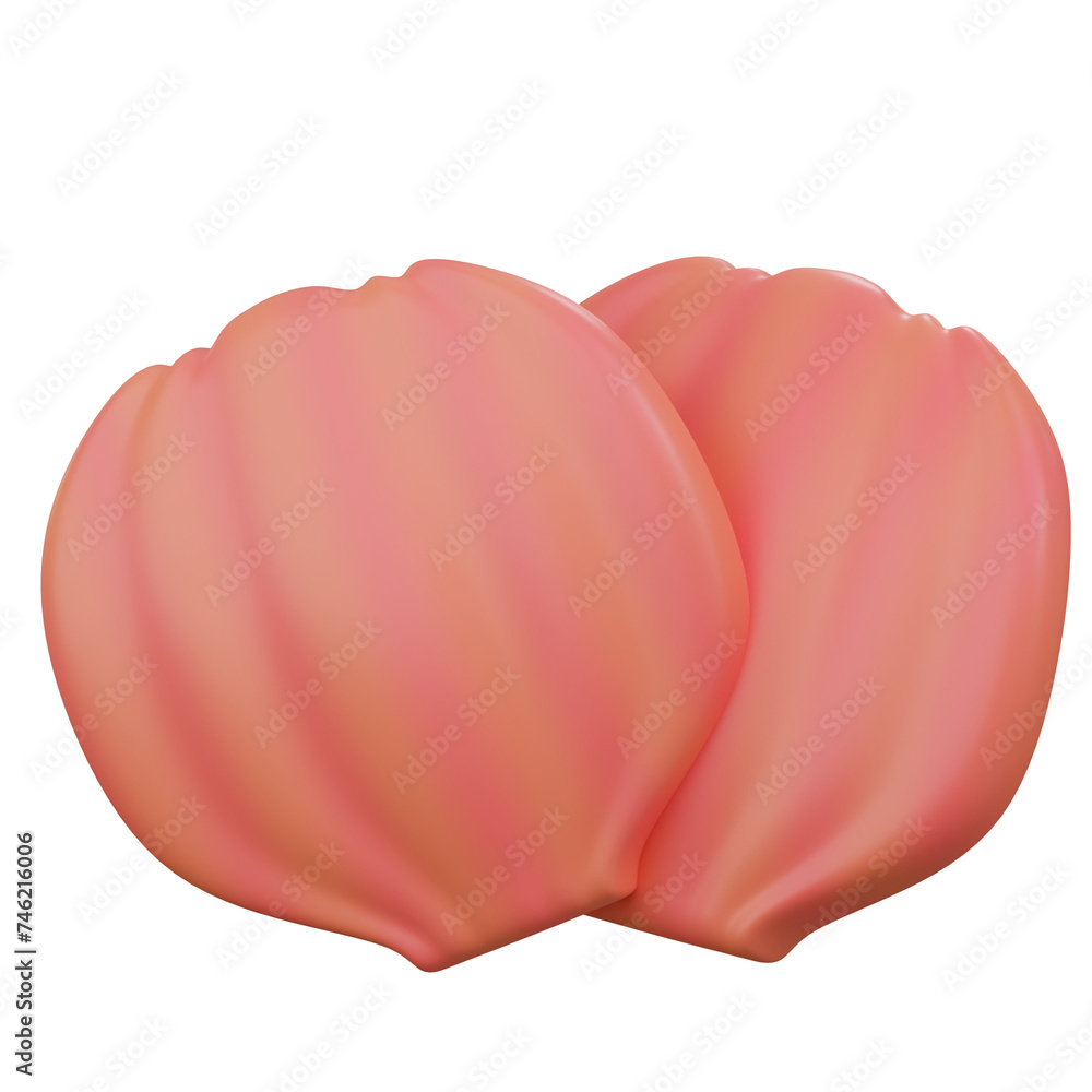 3D Sea Shell Illustration 3D Sea Shell Illustration