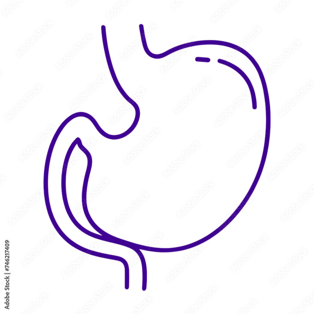 Stomach vector illustration Stomach vector illustration