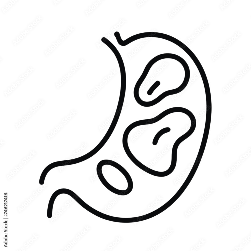 Stomach vector illustration Stomach vector illustration