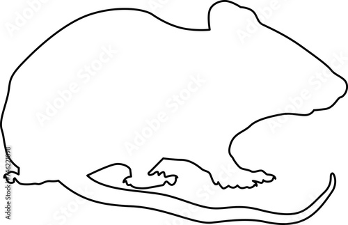 mouse outline line icon symbol