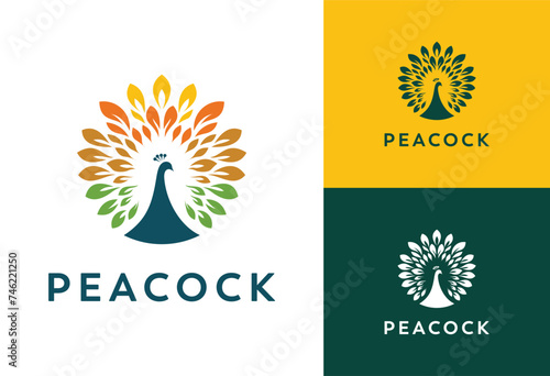 peacock logo design vector inspiration, full color peacock logo