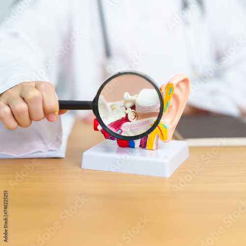 Doctor with human Ear anatomy model with magnifying glass. Ear disease, Atresia, Otitis Media, Pertorated Eardrum, Meniere syndrome, otolaryngologist, Ageing Hearing Loss, Schwannoma and Health photo
