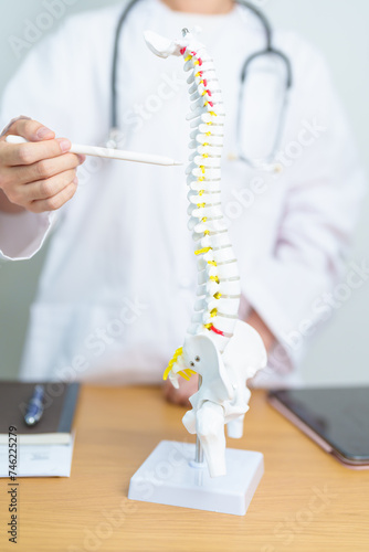 Doctor with human Spine anatomy model. Spinal Cord Disorder and disease  Back pain  Lumbar  Sacral pelvis  Cervical neck  Thoracic  Coccyx  Orthopedist  chiropractic  Office Syndrome and health