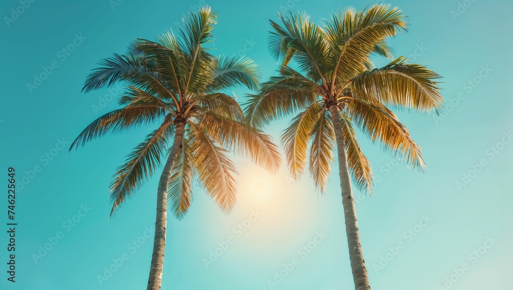 Obraz premium Palm trees on a tropical beach in sunny day