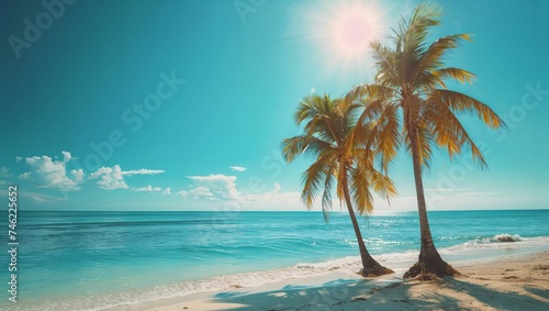 Palm trees on a tropical beach in sunny day