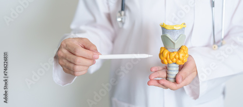 Doctor with human Thyroid anatomy model. Hyperthyroidism, Hypothyroidism, Hashimoto Thyroiditis, Thyroid Tumor and Cancer, Postpartum, Papillary Carcinoma and Health concept