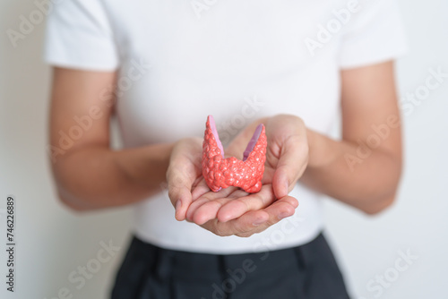 Woman holding human Thyroid anatomy model. Hyperthyroidism, Hypothyroidism, Hashimoto Thyroiditis, Thyroid Tumor and Cancer, Postpartum, Papillary Carcinoma and Health concept photo