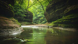 Turkey run state park, state park, forrest, hike trail, nature preserve, pine grove, hiking trail, hike trail, cascades trail, trail beside water, national park, trails, cuyahoga valley, cascade falls