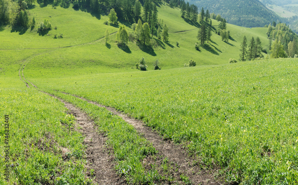 A road among spring meadows, green hills and forests