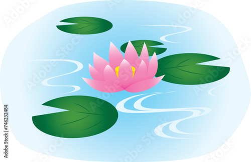 睡蓮（蓮の花）のイラスト