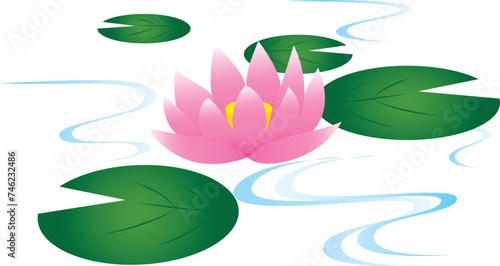 睡蓮（蓮の花）のイラスト